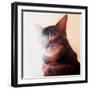 Purr-fect Spot, 2018, (painting)-Helen White-Framed Giclee Print