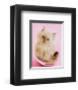 Purrfect Fit-Rachael Hale-Framed Art Print