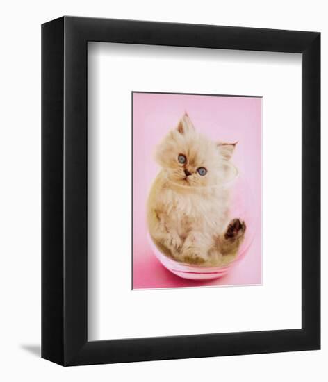 Purrfect Fit-Rachael Hale-Framed Art Print