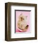 Purrfect Fit-Rachael Hale-Framed Art Print