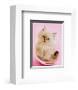 Purrfect Fit-Rachael Hale-Framed Art Print