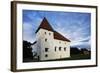 Purste Castle-null-Framed Giclee Print