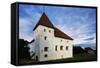 Purste Castle-null-Framed Stretched Canvas