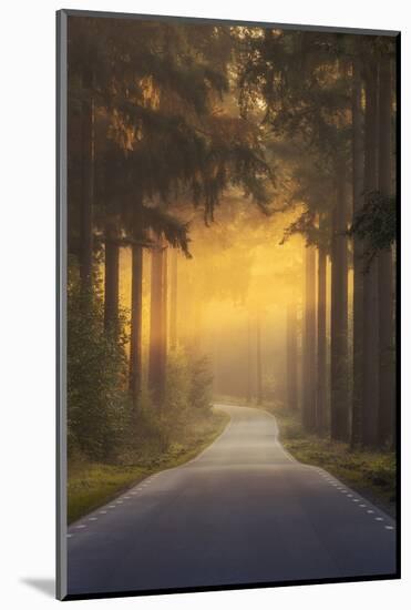 Pursuing the Light at the end of the Road-Ye-Mounted Photographic Print