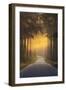 Pursuing the Light at the end of the Road-Ye-Framed Photographic Print