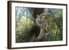 Pursuit-Gordon Semmens-Framed Giclee Print