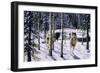 Pursuit-Jeff Tift-Framed Premium Giclee Print