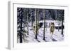 Pursuit-Jeff Tift-Framed Premium Giclee Print