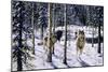 Pursuit-Jeff Tift-Mounted Premium Giclee Print