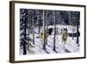 Pursuit-Jeff Tift-Framed Giclee Print