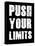 Push Your Limits-null-Stretched Canvas