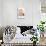 Pusheen - Group-Trends International-Stretched Canvas displayed on a wall