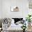 Pusheen - Hey-Trends International-Mounted Poster displayed on a wall