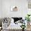 Pusheen - Hey-Trends International-Stretched Canvas displayed on a wall