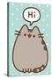 Pusheen - Hi-Trends International-Stretched Canvas