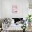 Pusheen - Kitties-Trends International-Stretched Canvas displayed on a wall