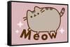 Pusheen - Meow-Trends International-Framed Stretched Canvas