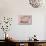 Pusheen - Meow-Trends International-Stretched Canvas displayed on a wall