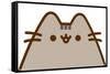 Pusheen - Surprise-Trends International-Framed Stretched Canvas