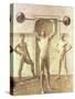 Pushing Weights with Two Arms, Number 3, 1914-Eugene Jansson-Stretched Canvas