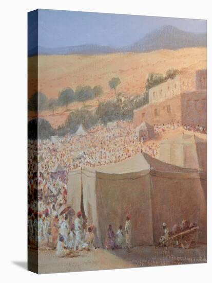 Pushkar Fair-Lincoln Seligman-Stretched Canvas