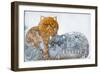 Pushkin Tales 2-Oxana Zaika-Framed Giclee Print