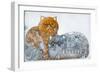 Pushkin Tales 2-Oxana Zaika-Framed Giclee Print