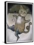 Puss in Boots Doing a Somersault-Wayne Anderson-Framed Stretched Canvas