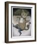 Puss in Boots Doing a Somersault-Wayne Anderson-Framed Giclee Print