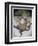 Puss in Boots Doing a Somersault-Wayne Anderson-Framed Giclee Print