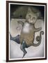 Puss in Boots Doing a Somersault-Wayne Anderson-Framed Giclee Print