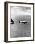 "Puss" Moth Flown by JA Mollison over the Atlantic on Its Record-Making Flight from Ireland to NY-null-Framed Photographic Print