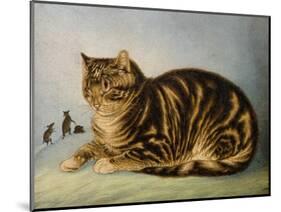 Puss Napping-George Baxter-Mounted Giclee Print