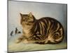 Puss Napping-George Baxter-Mounted Giclee Print