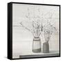 Pussy Willow Still Life Gray Pots Shiplap-Julia Purinton-Framed Stretched Canvas