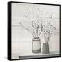 Pussy Willow Still Life Gray Pots Shiplap-Julia Purinton-Framed Stretched Canvas