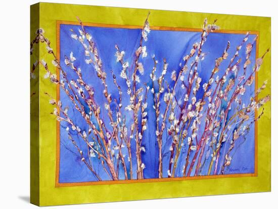 Pussy Willows-Sharon Pitts-Stretched Canvas