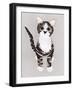 Pussycat, 2016, Paper-Isobel Barber-Framed Giclee Print