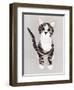 Pussycat-Isobel Barber-Framed Giclee Print