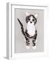 Pussycat-Isobel Barber-Framed Giclee Print
