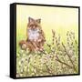 Pussywillows Fox-Wendy Edelson-Framed Stretched Canvas