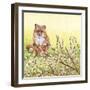 Pussywillows Fox-Wendy Edelson-Framed Giclee Print