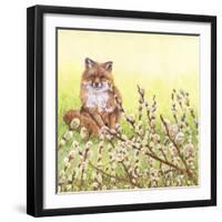 Pussywillows Fox-Wendy Edelson-Framed Giclee Print