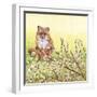 Pussywillows Fox-Wendy Edelson-Framed Giclee Print