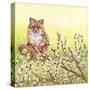 Pussywillows Fox-Wendy Edelson-Stretched Canvas