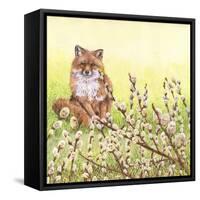 Pussywillows Fox-Wendy Edelson-Framed Stretched Canvas