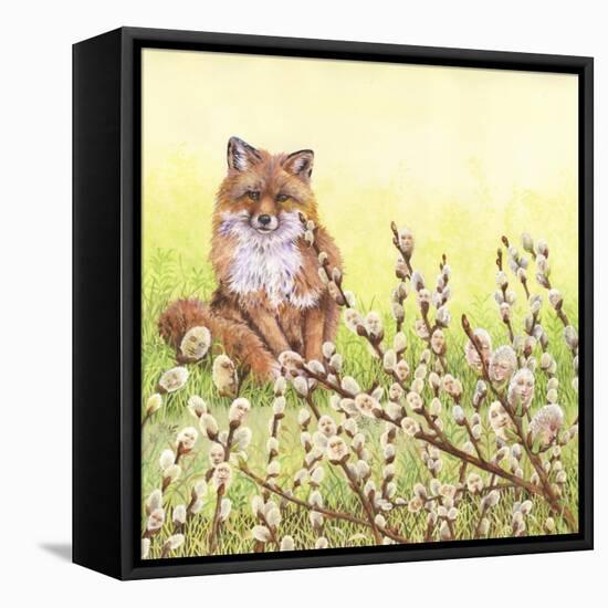 Pussywillows Fox-Wendy Edelson-Framed Stretched Canvas