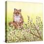 Pussywillows Fox-Wendy Edelson-Stretched Canvas