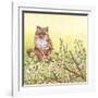 Pussywillows Fox-Wendy Edelson-Framed Giclee Print