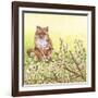 Pussywillows Fox-Wendy Edelson-Framed Giclee Print